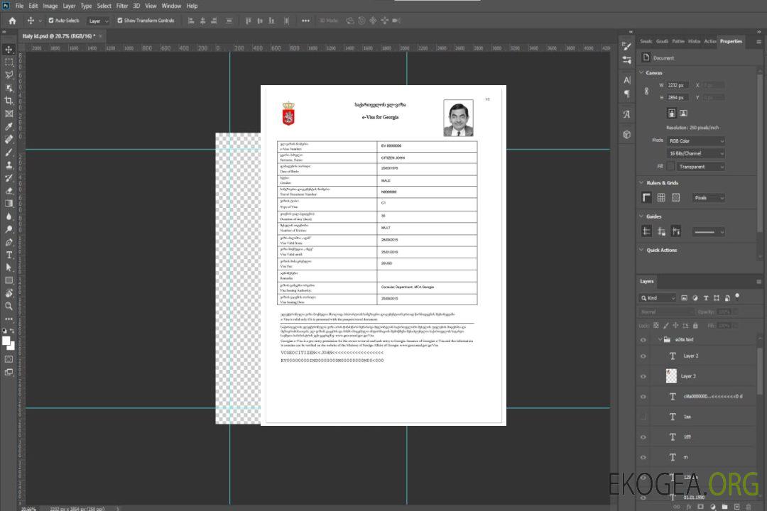 Visa électronique pour GÉORGIE template Visa électronique pour GÉORGIE template